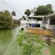south venice backyard flooding drainage Medium 80x80