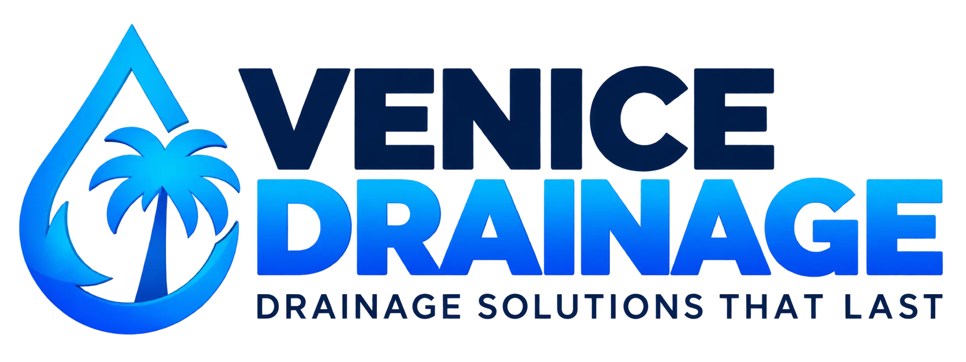 venice drainage logo transparent color